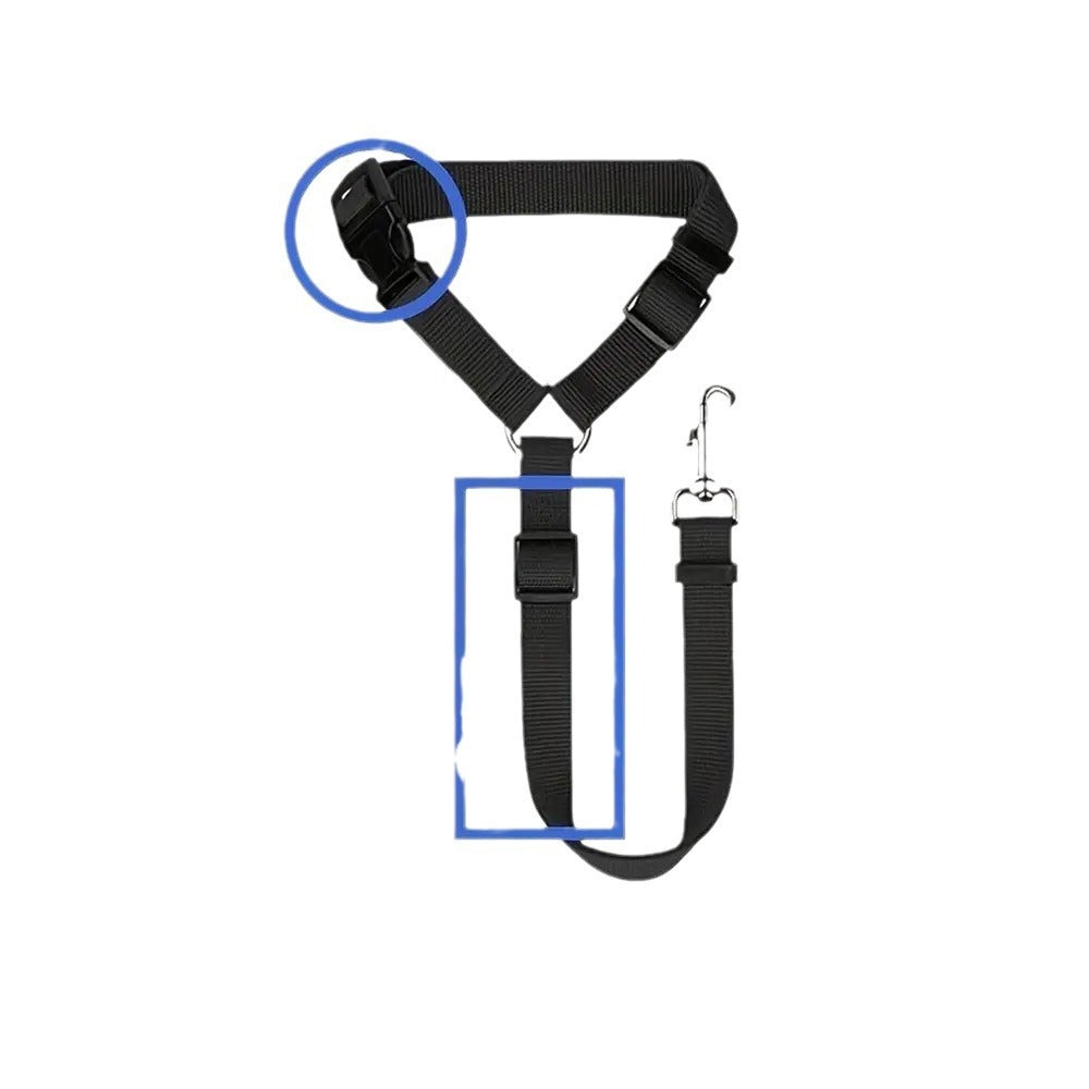 Cherrypetx BackSeat Safety Belt