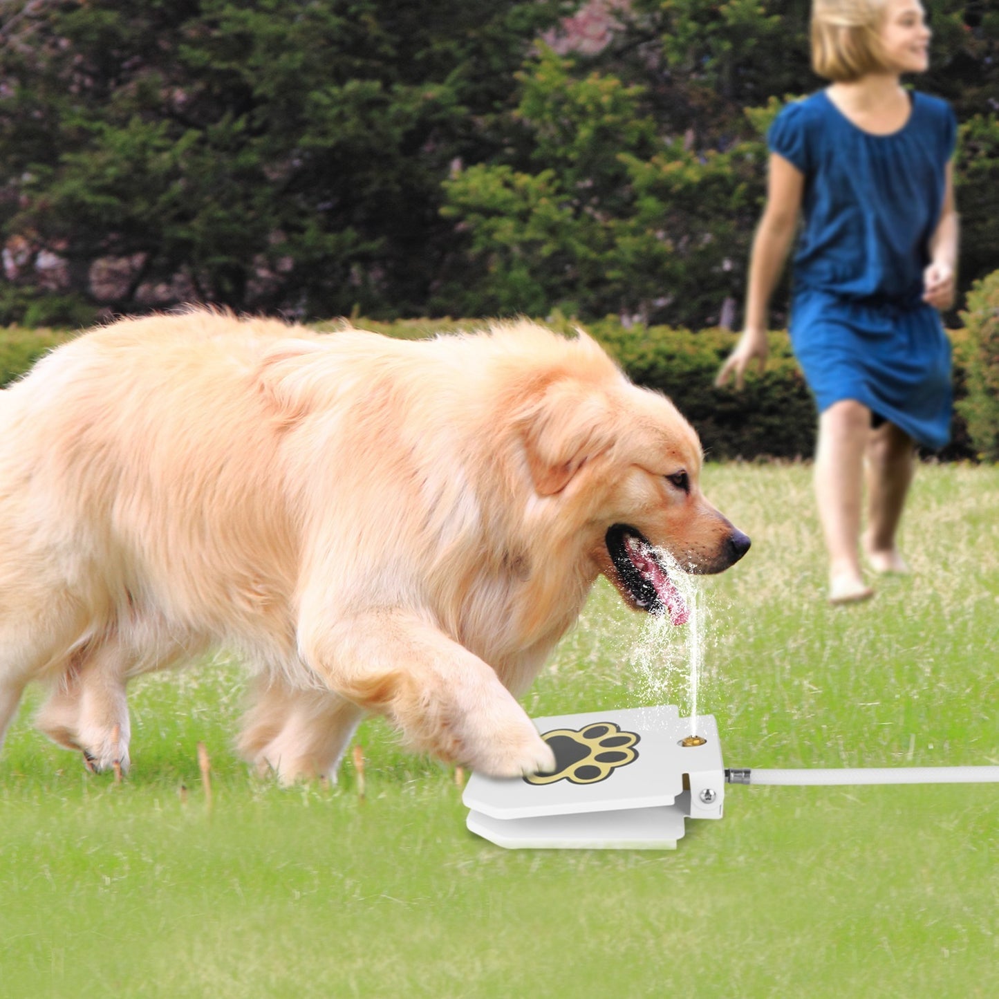 Cherrypetx Water Fountain OutdoorPet Water Dispenser Step-on Activated Sprinkler With Interactive Valve