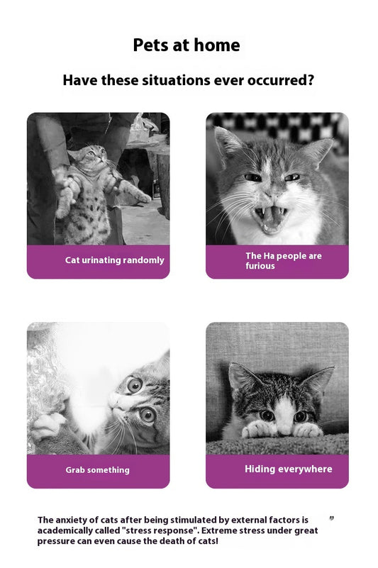 Soothing Pets Spray For Cats