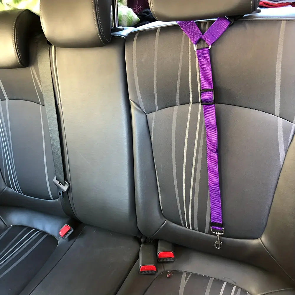 Cherrypetx BackSeat Safety Belt