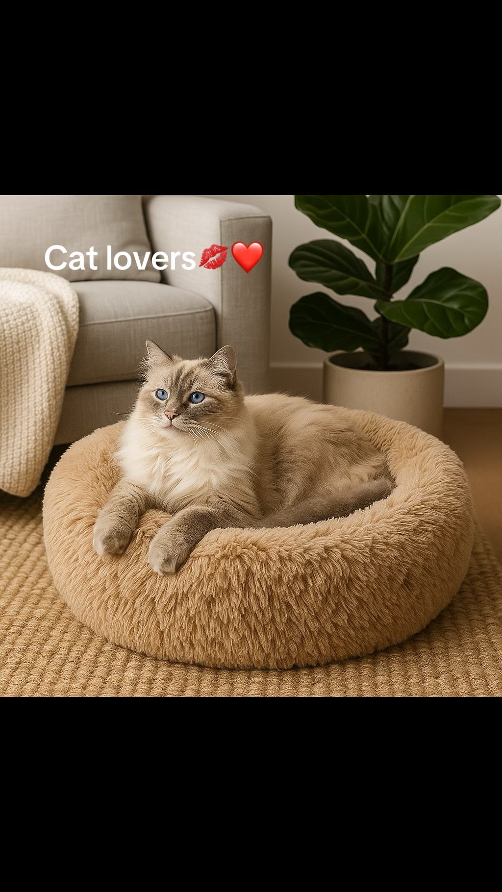 Cherrypetx bed