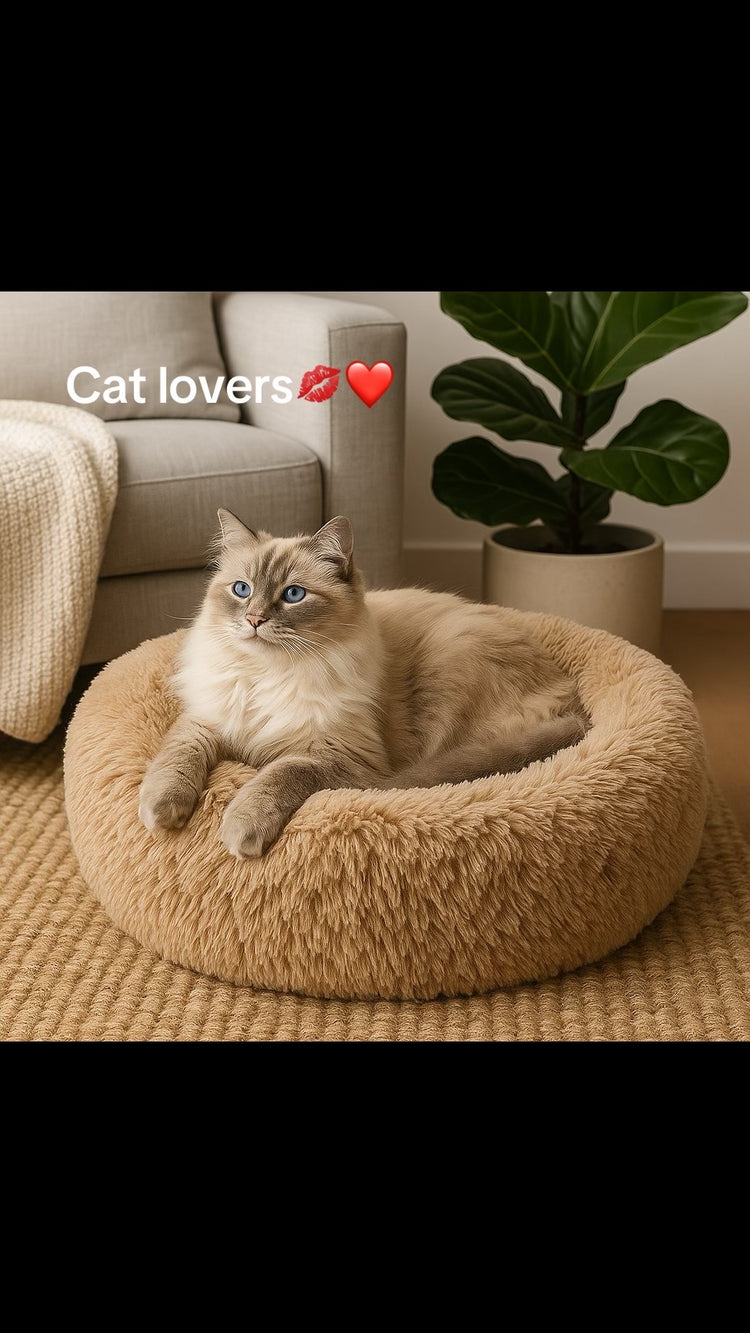 Cherrypetx bed