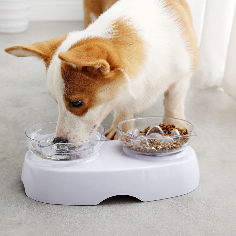 Pet Cat Ears Double Bowl Drinking Water And Diet Dual Purpose Dog Bowl
