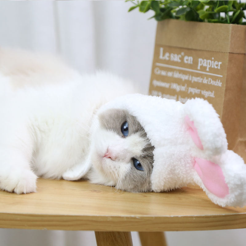 Small And Medium Dogs Pet Dog Cat Bunny Cute Teddy Bichon Hat Headwear
