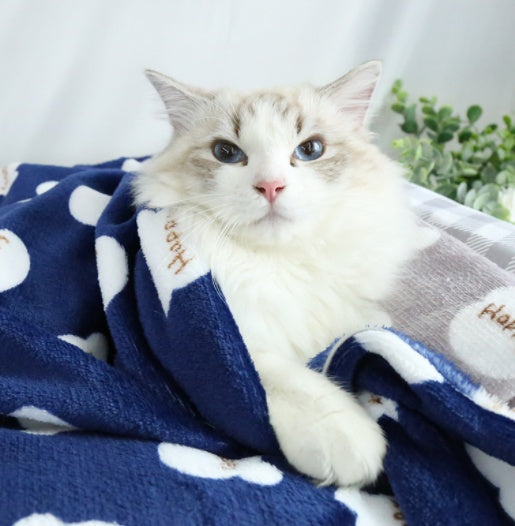 Warm Printed Flannel Pet Cartoon Dog Blanket