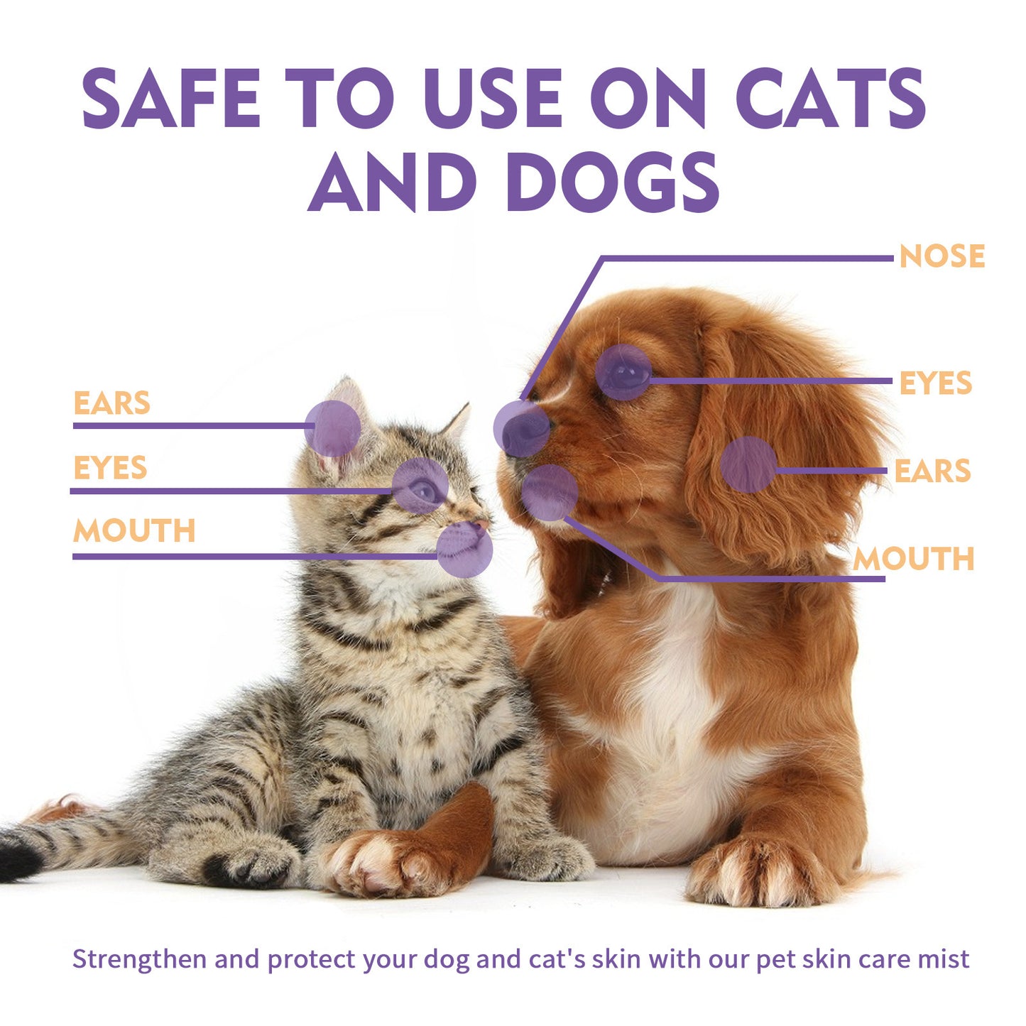 Pet skin relief and itching spray