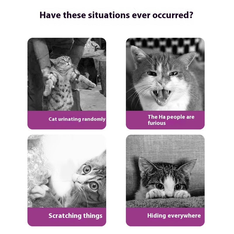 Soothing Pets Spray For Cats