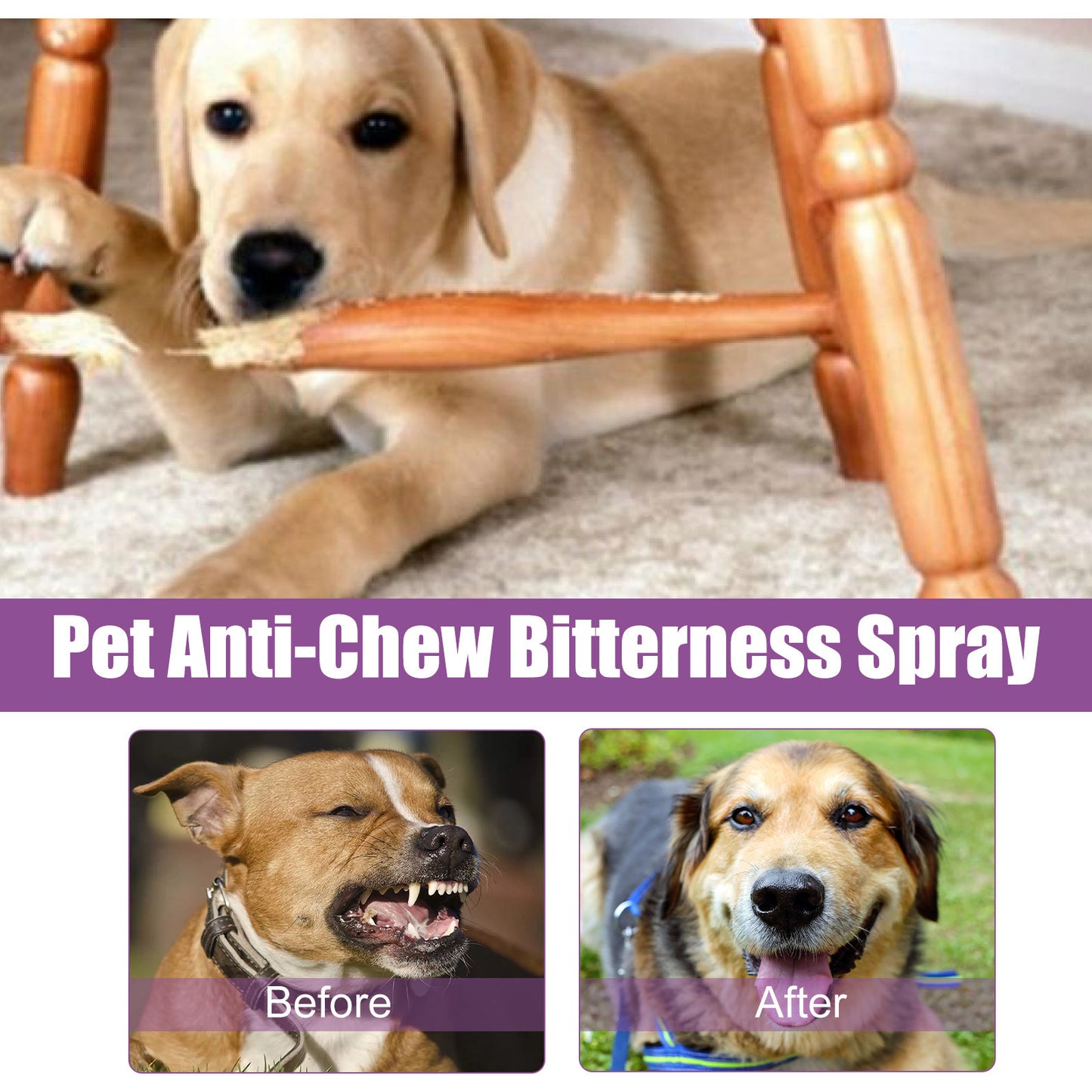 Pet Noise Reduction Spray Soothing for calm mood