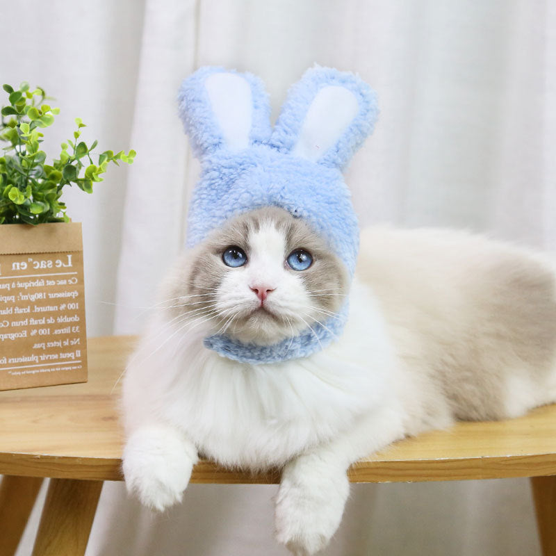 Small And Medium Dogs Pet Dog Cat Bunny Cute Teddy Bichon Hat Headwear