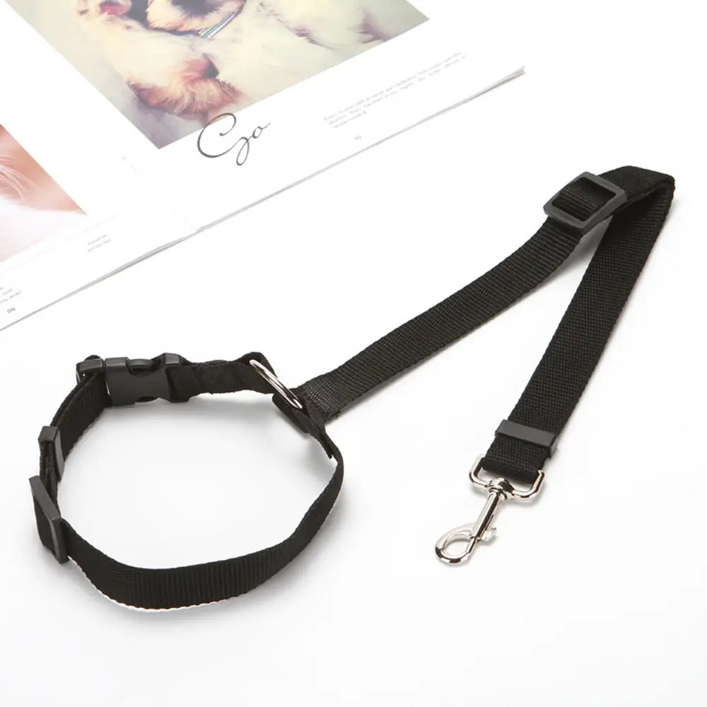 Cherrypetx BackSeat Safety Belt