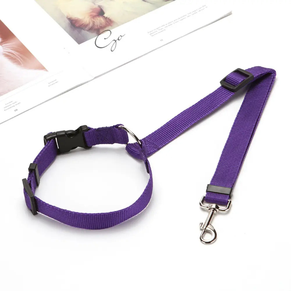 Cherrypetx BackSeat Safety Belt