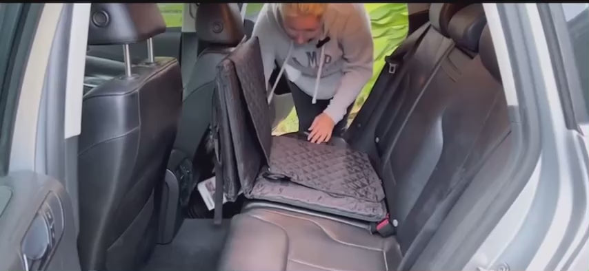 Load video: cherrypetx in motion